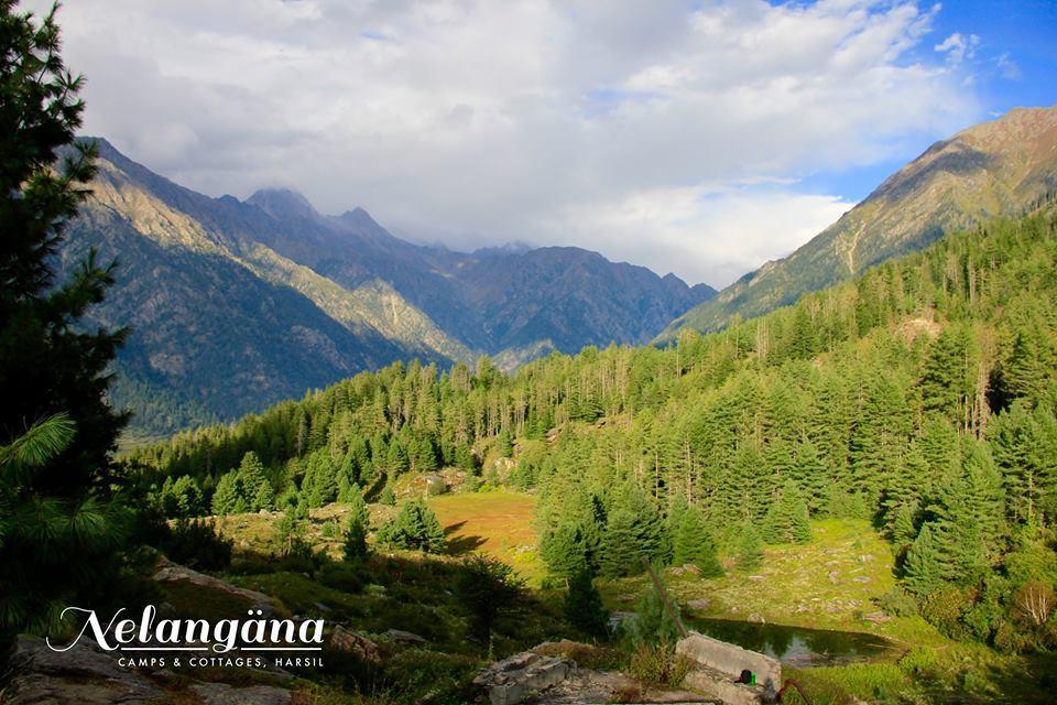 Nelangana Resort Harsil エクステリア 写真