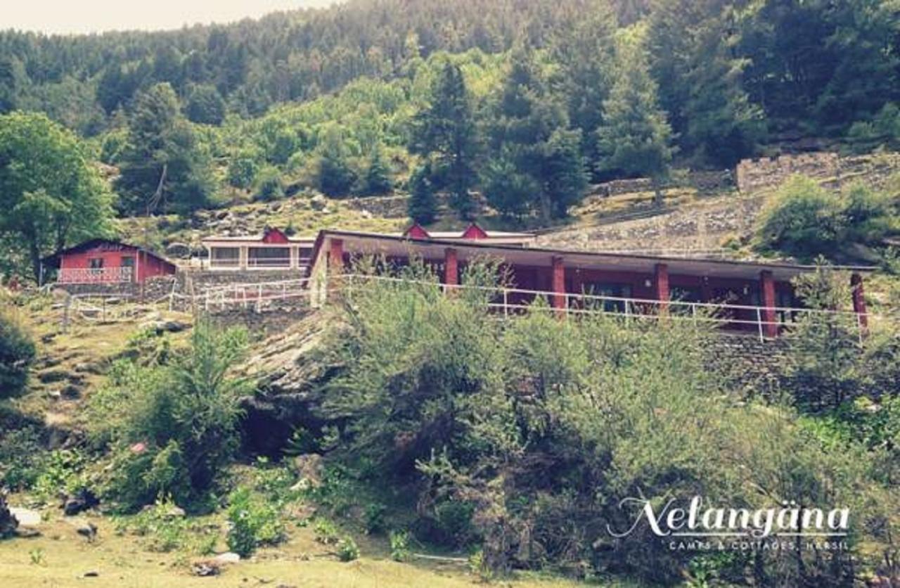 Nelangana Resort Harsil エクステリア 写真